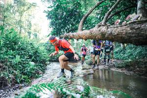 BIB: 
                            <button type="button" onclick="openModal(25443620)" class="btn btn-primary btn-sm float-right btn-popup" data-toggle="modal" data-target=".modal-high-quality">
                        <i class="fas fa-shopping-cart"></i> Add to Cart
                    </button>
                                            <button type="button" onclick="isThisMe(25443620, true)" class="btn btn-success btn-sm float-right btn-popup btn-isme hidden" data-toggle="tooltip" data-placement="bottom" title="นี่คือรูปของคุณใช่ไหม คลิกที่นี่เพื่อเอาเข้าอัลบั้ม">
                        <i class="fas fa-plus"></i> Add to album
                    </button>
                    <button type="button" onclick="isThisMe(25443620, false)" class="btn btn-warning btn-sm float-right btn-popup btn-isnotme hidden">
                        <i class="fas fa-ban"></i> Remove from album
                    </button>